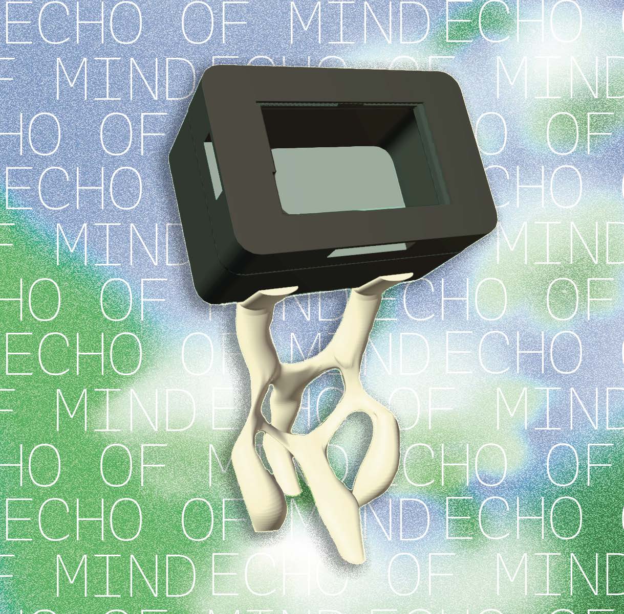 Echo of Mind